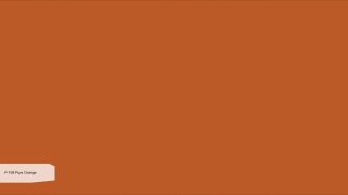 P-199 Pure Orange