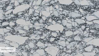 9070 Arabescato Alencon